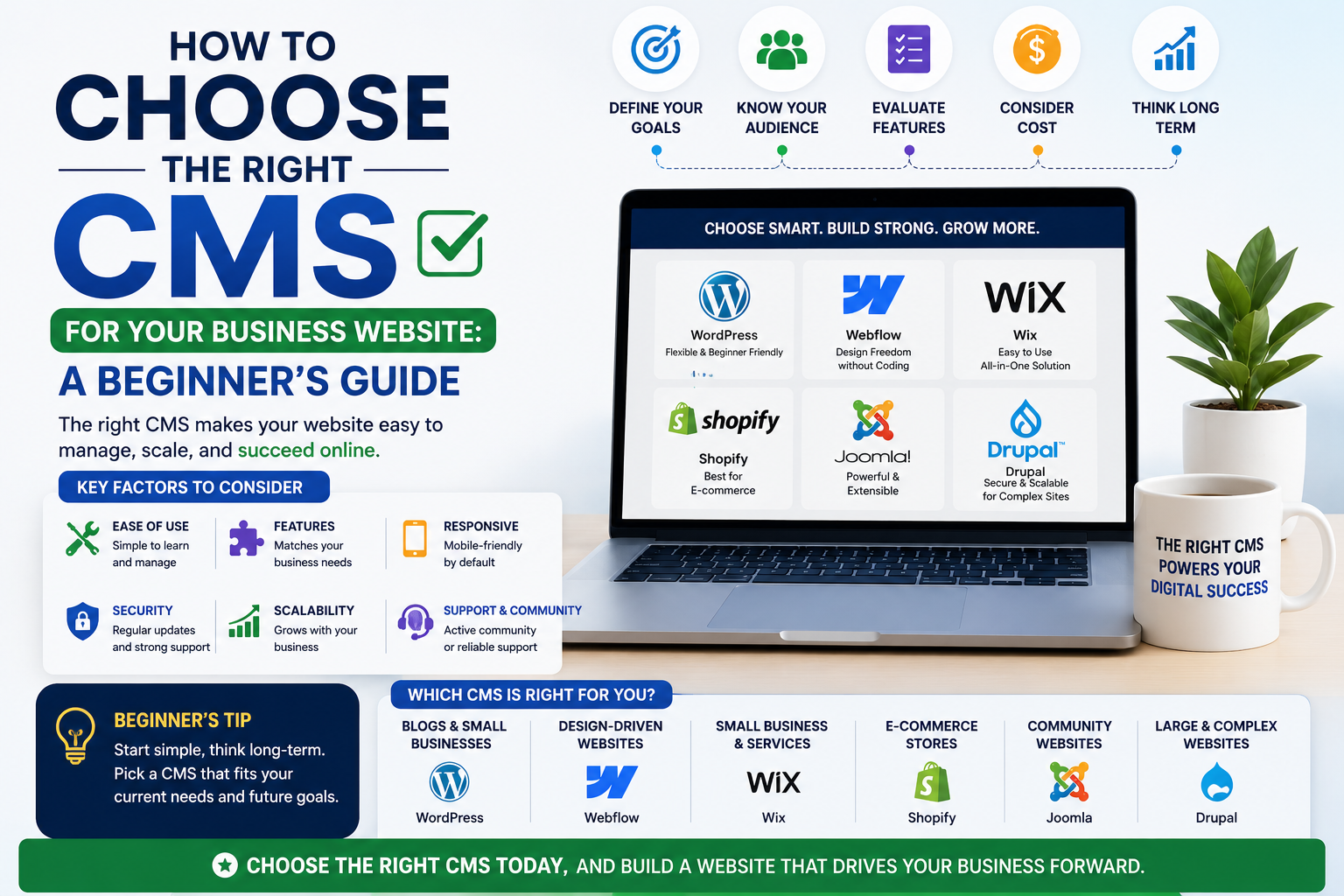 How to Choose the Right CMS for Your Business Website: A Beginner's Gu
